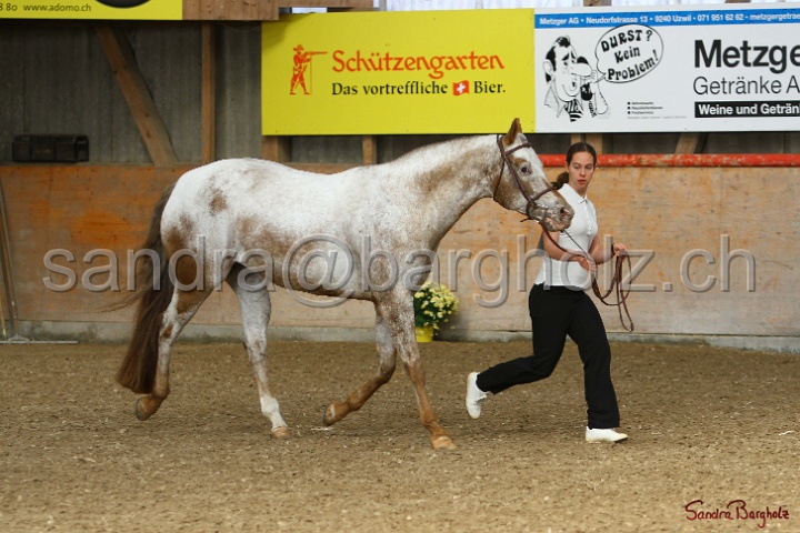 24-ApHC HIH_020.jpg
